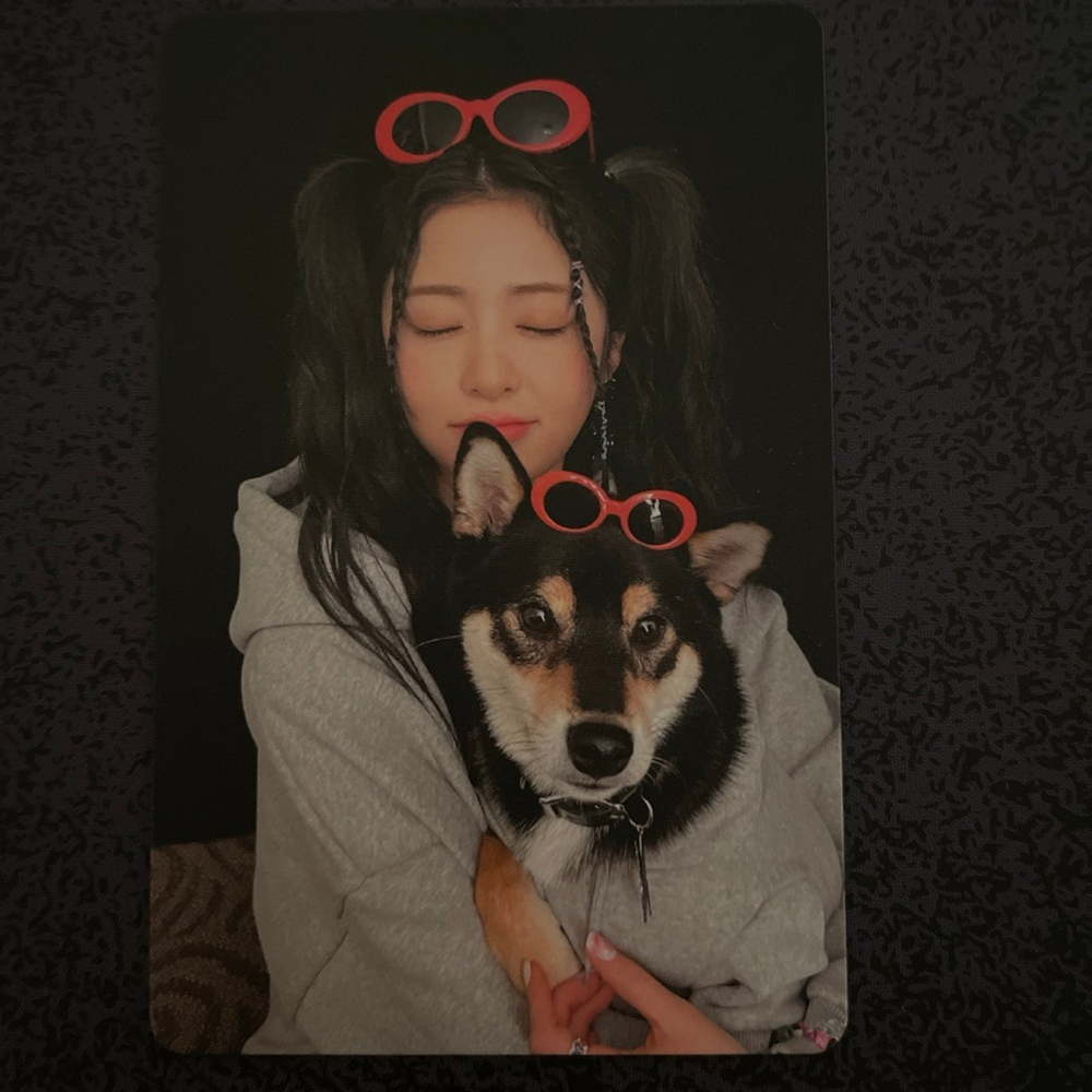 Yunjin Official Photocard Le Sserafim unforgiven weverse